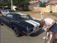 1968 Ford Mustang for sale in Michigan (ID-106697)
