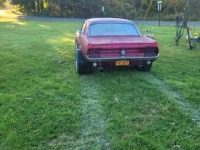 1968 Ford Mustang for sale in Michigan (ID-108795)
