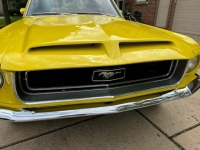 1968 Ford Mustang for sale in Michigan (ID-120867)