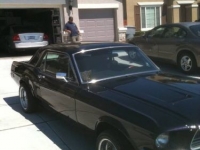 1968 Ford Mustang for sale in Michigan (ID-126044)