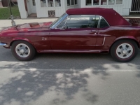 1968 Ford Mustang for sale (ID-130709)