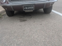 1968 Ford Mustang for sale (ID-130709)