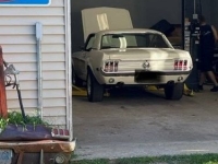 1968 Ford Mustang for sale in Michigan (ID-164523)