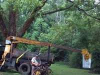 1968 Ford T-Bucket for sale (ID-111746)
