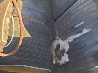 1968 Ford Torino GT for sale in Midlothian, Texas (ID-95427)
