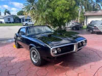 1968 Pontiac Firebird for sale in Michigan (ID-123654)