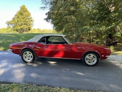 1968 Pontiac Firebird for sale