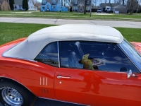 1968 Pontiac Firebird for sale in Michigan (ID-141968)