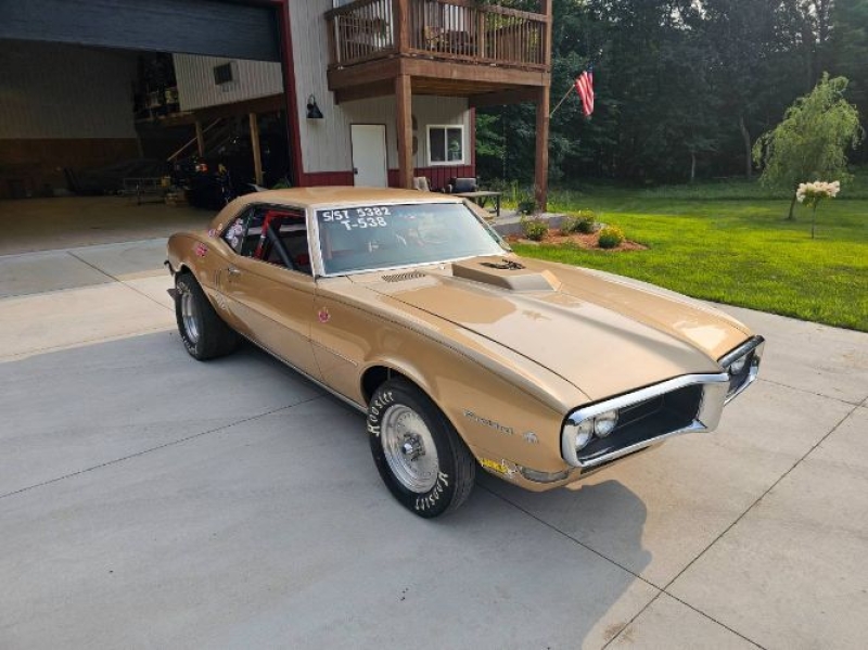 1968 Pontiac Firebird for sale in Michigan (ID-146677)