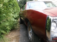 1968 Pontiac LeMans for sale in Michigan (ID-118466)