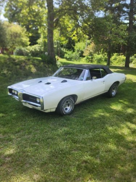 1968 Pontiac LeMans for sale in Michigan (ID-130439)