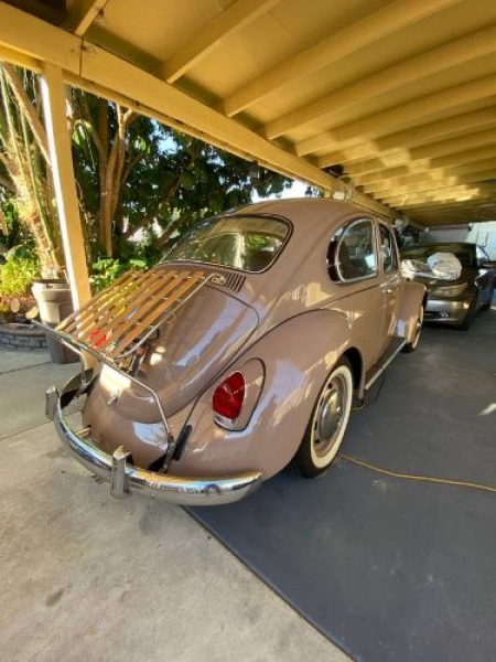 1968 Volkswagen Beetle for sale in Michigan (ID-102277) 1968 Volkswagen Beetle for sale in Michigan (ID-102277)