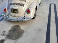 1968 Volkswagen Beetle for sale in Michigan (ID-108978)