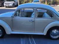 1968 Volkswagen Beetle for sale in Michigan (ID-116788)