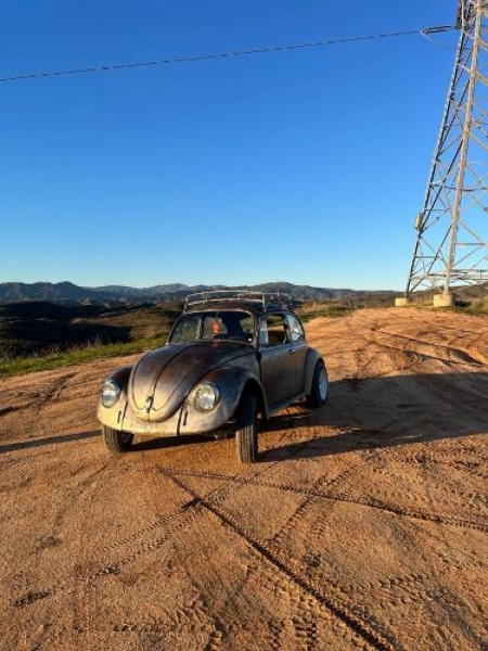1968 Volkswagen Beetle for sale in Michigan (ID-124620)