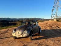 1968 Volkswagen Beetle for sale in Michigan (ID-124620)