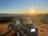 1968 Volkswagen Beetle for sale in Michigan (ID-124620)