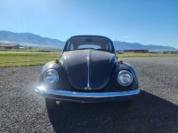 1968 Volkswagen Beetle for sale in Michigan (ID-124661)