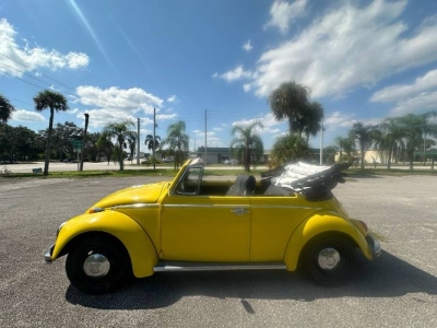 1968 Volkswagen Beetle for sale