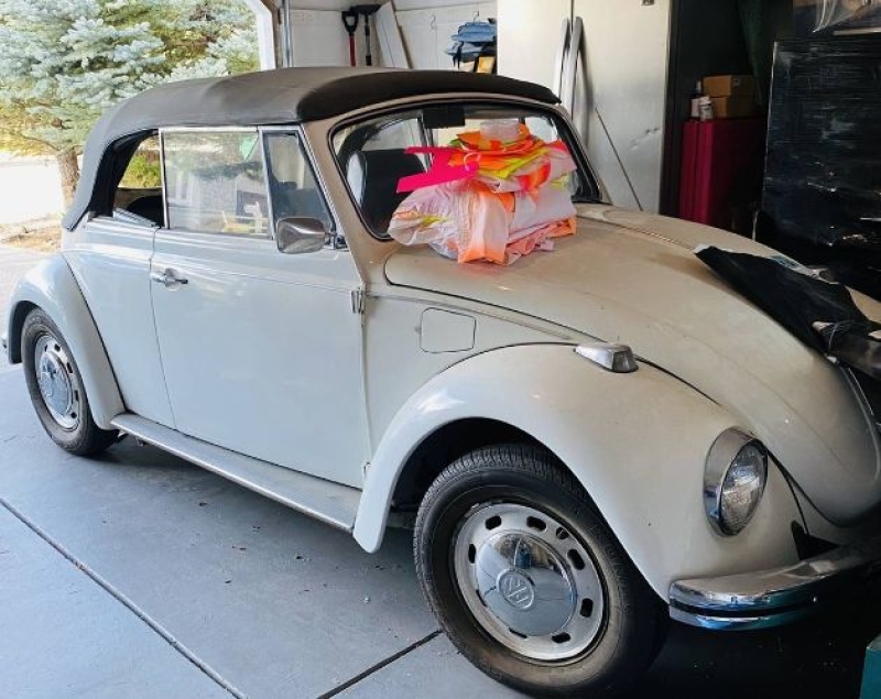 1968 Volkswagen Beetle for sale in Michigan (ID-141991)