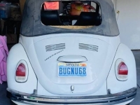 1968 Volkswagen Beetle for sale in Michigan (ID-141991)
