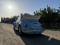 1968 Volkswagen Beetle for sale in Michigan (ID-142734)