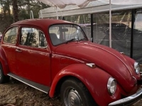 1968 Volkswagen Beetle for sale in Michigan (ID-143658)