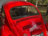 1968 Volkswagen Beetle for sale in Michigan (ID-143658)