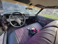 1969 Buick Skylark for sale in Michigan (ID-91625)