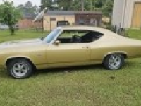 1969 Chevrolet Chevelle SS for sale in Columbia, South Carolina (ID-143266)