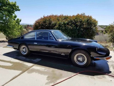 1969 Ferrari 365 GT for sale