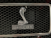 1969 Ford Mustang for sale in Mundelein, Illinois (ID-89479)