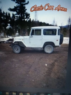 1969 Toyota Land Cruiser for sale in Michigan (ID-43588)