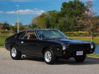 1969 AMC AMX for sale (ID-154967)