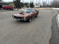 1969 AMC AMX for sale (ID-161688)