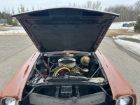 1969 AMC AMX for sale (ID-161688)