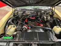 1969 Buick Electra 225 for sale in Michigan (ID-142408)