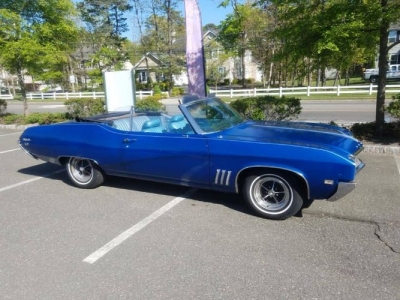 1969 Buick Skylark for sale