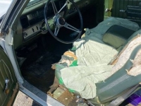 1969 Buick Skylark for sale in Michigan (ID-122781)