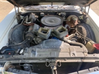 1969 Buick Skylark for sale in Michigan (ID-122781)