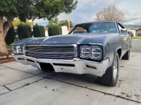 1969 Buick Skylark for sale in Michigan (ID-128010)