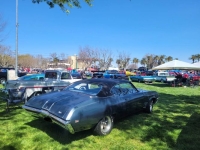 1969 Buick Skylark for sale in Michigan (ID-128010)