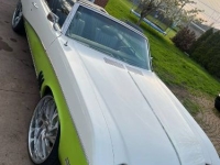 1969 Buick Skylark for sale in Michigan (ID-130138)