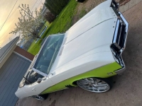 1969 Buick Skylark for sale in Michigan (ID-130138)