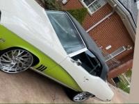 1969 Buick Skylark for sale in Michigan (ID-130138)