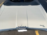 1969 Buick Skylark for sale in Michigan (ID-130138)