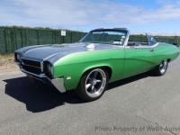 1969 Buick Skylark for sale in Glen Cove, New York (ID-163169)