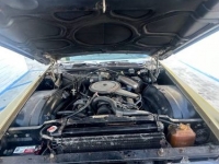 1969 Cadillac Fleetwood for sale in Michigan (ID-124224)