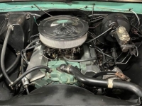 1969 Chevrolet 1500 for sale in Michigan (ID-132597)