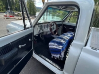 1969 Chevrolet C10 for sale in Michigan (ID-102162)